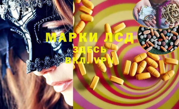 эйфоретик Баксан