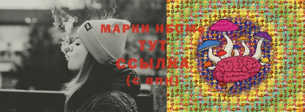 эйфоретик Баксан