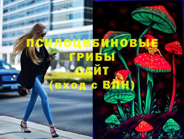 эйфоретик Баксан