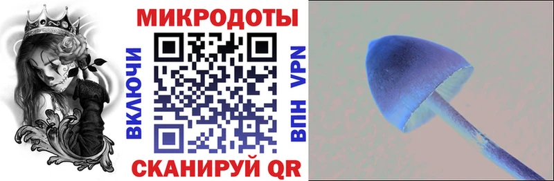 Галлюциногенные грибы прущие грибы  Шумиха 